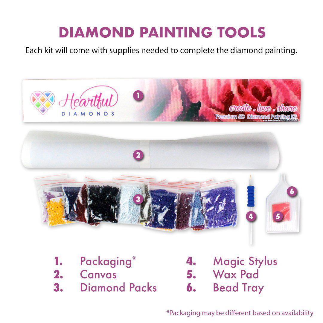 Best Deal for 3 Pieces 5D DIY Diamond Art Painting Kits Full Drill